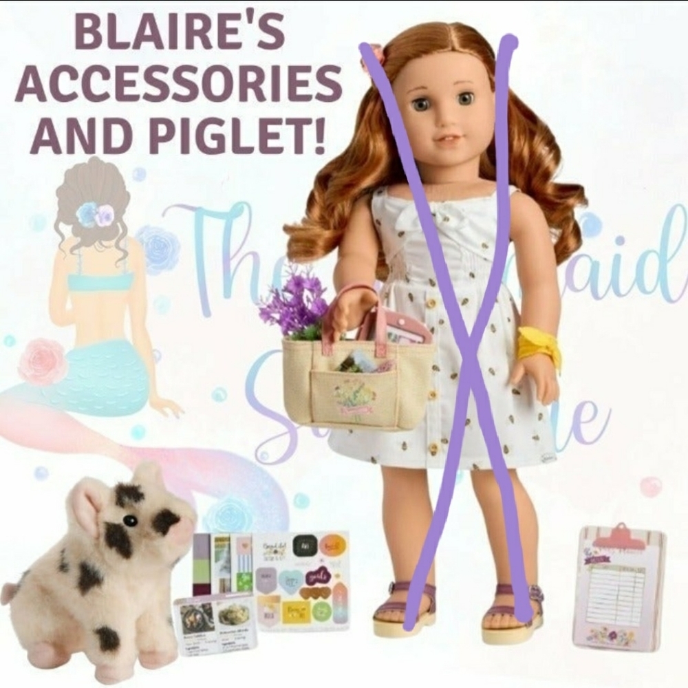 sold out Brand new: Blaire's Accessories & Piglet ONLY bundle: Doll NOT included